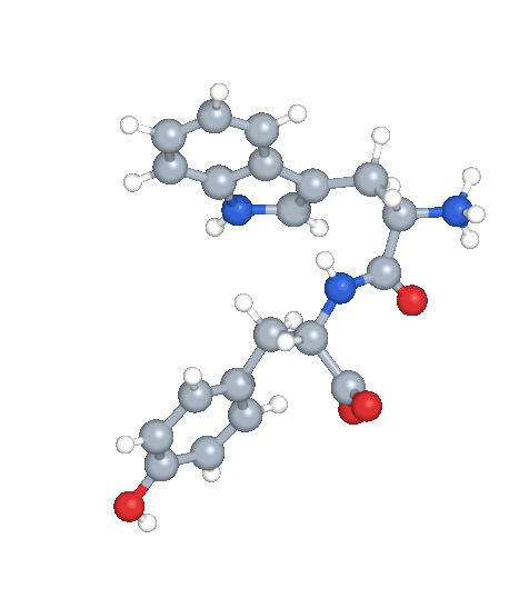 Animation of tryptophyltyrosine molecular configurations.