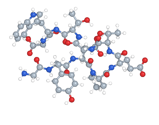 Animation of chignolin molecular configurations.
