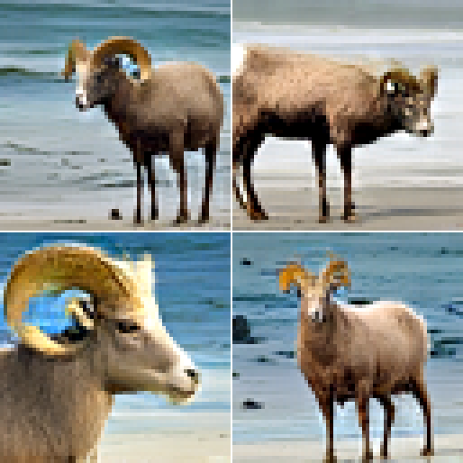 Bighorn sheep beside the sea after NFM-R post-training.